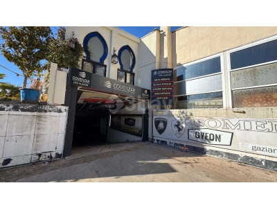 WhatsApp Image 2026-03-11 at 10.56.30 (3).jpeg